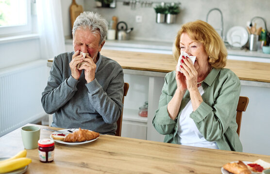 A senior couple  is sitting at a table with a tissue in his hand. He is wiping his nose and he is in a state of discomfort
