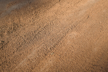 road dusty with crushed acorns