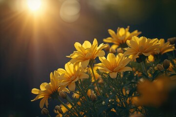 In the soft light of dawn, these radiant blooms unfold their petals, sharing warmth and new beginnings with the day.