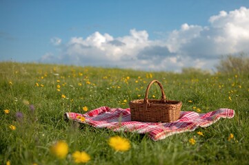 Empty basket on a blooming field with a plaid picnic blanket