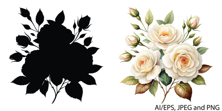 Elegant white rose bouquet silhouette and watercolor painting art vector