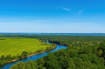 Tranquil stream flowing through woodland on a sunny summer afternoon