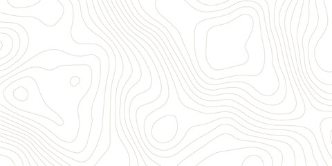 Topography background. Vector banner. Topography map background. Vector geographic contour map. Background of the topographic map. Topographic map lines, contour background.