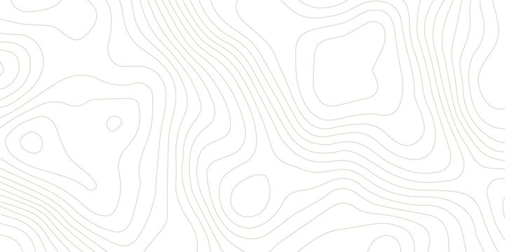 Topography background. Vector banner. Topography map background. Vector geographic contour map. Background of the topographic map. Topographic map lines, contour background.