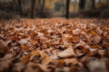 Fallen Rust-Colored Leaves Covering the Earth