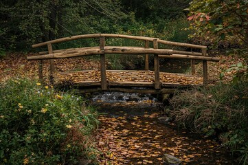 A peaceful setting showcasing a charming wooden footbridge with handcrafted railings spanning a gentle creek, enveloped by vibrant foliage and scattered fall leaves.