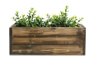 A rustic wooden planter box adorned with lush green plants, bringing a touch of nature indoors in a cozy space isolated on transparent background