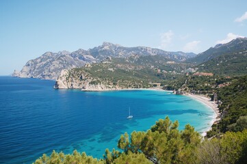 Summer landscape of sea and mountains with trees and water