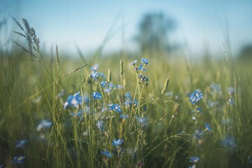 Vibrant blue blossoms scattered across lush greenery with a soft focus effect