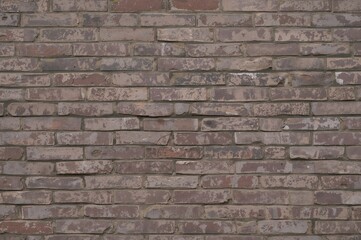 Obraz premium Textured brick wall surface with detailed patterns