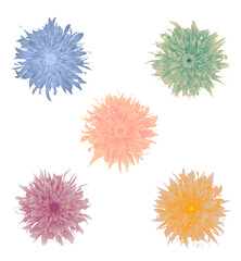 Pastel volumetric fantasy flowers