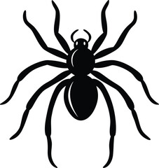 Obraz premium Black Spider with Long Legs Glossy Body Isolated