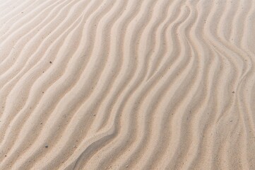 Fototapeta premium Textured white sand as a background pattern