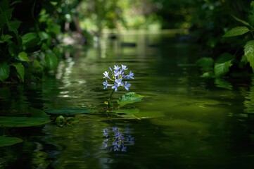 Fototapeta premium Garden with a blue blossom
