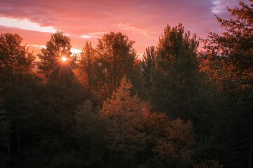 Obraz premium Bright orange dawn over woodland during summertime