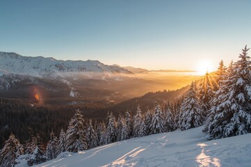 Snowy mountain landscape at dawn with trees and clear sky, winter travel concept with space for text