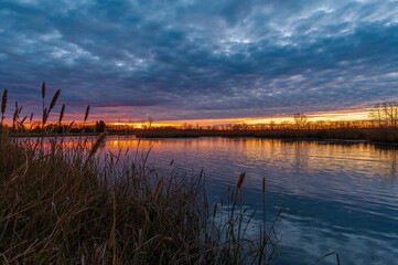 Breathtaking sunset or sunrise scene over a tranquil pond with reeds in the foreground and a cloudy sky in the background during a spring or early summer evening.