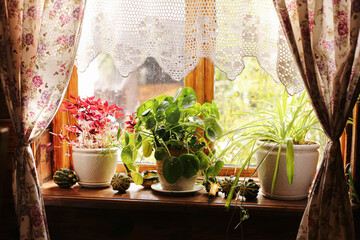 Cozy rustic window with flowers on windowsill. Traditional countryside home decoration. Plants in pots with natural light. Warm and nostalgic atmosphere. Home life and interior comfort background.