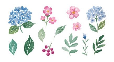 Botanical flower elements in soft watercolor style.
