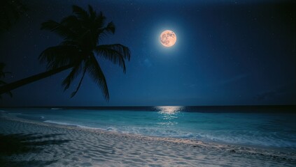 Enchanting night beach vista featuring a shadowed palm tree under a luminous full moon â€“ a dreamy natural spectacle.
