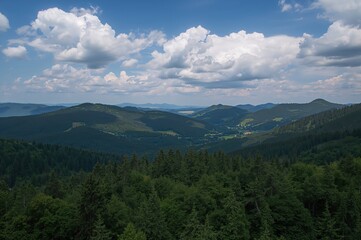 Fototapeta premium Aerial perspective of lush summer woods and hills captured by drone over mountainous terrain.