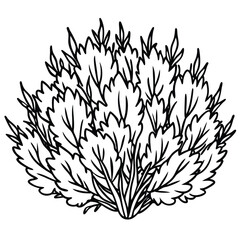 Minimalist tropical tree top view set for architectural and landscape design cad symbols