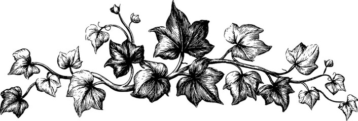 Vintage engraved arabesque border design for decorative projects and invitations