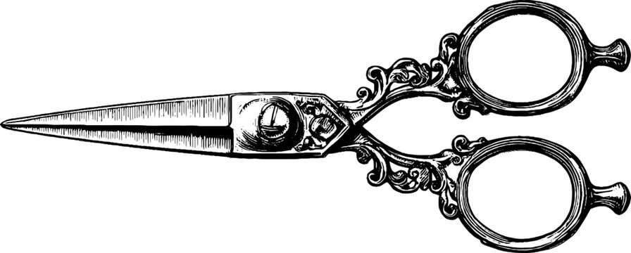 Ornate vintage scissors engraving with detailed hand drawn design for craft projects