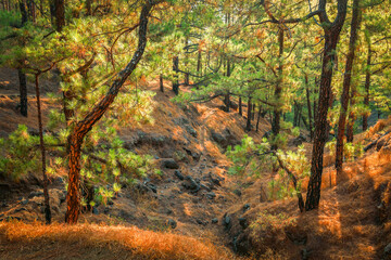 Scenic sunset landscape of Cumbrecita Mirador, of the mountains in Caldera de Taburiente National Park, La Palma, Canary islands, Spain, Europe