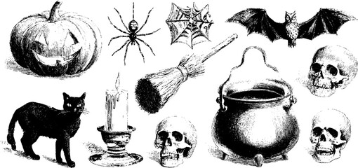 Vintage halloween symbols set with pumpkin, cauldron, and bat for decor and design