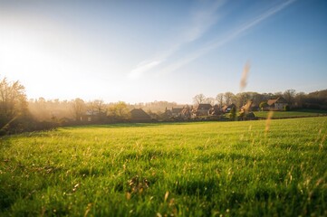 Lovely spring scenery with warm sunlight, countryside and lush grassland