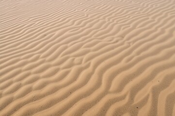 Sandy shore with organic wave designs