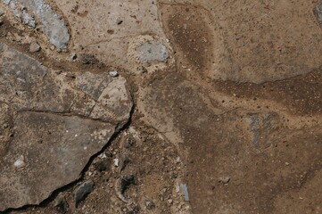 Trail Surface for Hiking