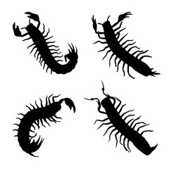 caterpillar, insect, isolated, macro, nature, white, animal, bug, larva, hairy, centipede, moth, close-up, vector design 