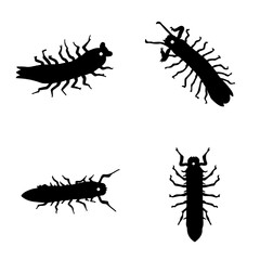 set of different insects, vector black and white of a caterpillar, caterpillar, caterpillar design, caterpillar vector design 