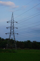 Electricity Transmission Tower in Green Field with Trees