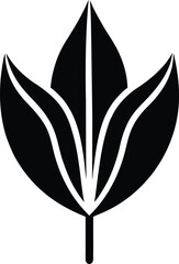 Abstract textured grunge surface overlay for artistic design projects isolated on transparent background