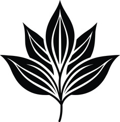 Abstract black swirl on white canvas with light texture and subtle gradient isolated on transparent background