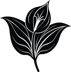 Close-up aerial view of a vast green agricultural field under a clear sky isolated on transparent background