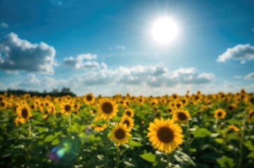 Fototapeta premium Bright yellow sunflowers basking beneath a cloudless azure sky
