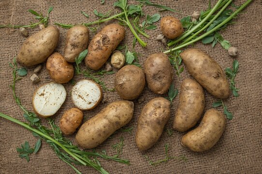 Newly harvested potatoes on a rustic burlap surface
