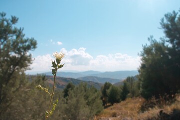 Obraz premium Mountainous region near a village in a Mediterranean island