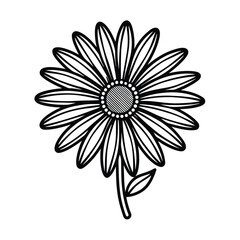 Abstract swirls of colored smoke and dust particles in motion isolated on transparent background