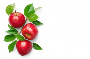 Obraz premium Crisp Juicy Red Apples