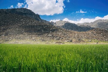Obraz premium Water Sprinkling Over a Lush Meadow with Craggy Hills in the Distance