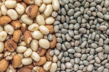 Fototapeta premium Concept of balanced diet featuring beans, nuts, and lentils for optimal nutrition