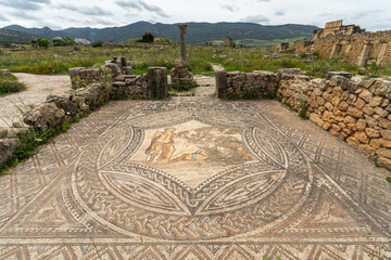 The mosaic of Bacchus at Volubilis, an antique Roman city in Morocco, famous for its well preserved mosaics