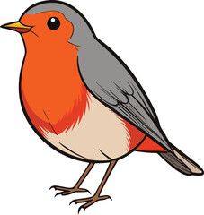 Adorable cartoon european robin bird illustration