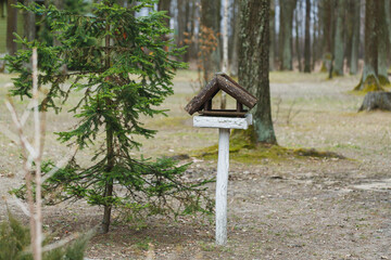 Wooden bird feeder stands peacefully in a quiet forest, surrounded by tall trees and soft moss underfoot, inviting birds to visit during the calm afternoon