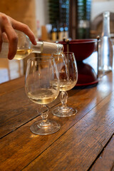 Visit of chateau with undergroud caves and wine tasting  in Cahors wine production area, white, rose and red malbec wines, France